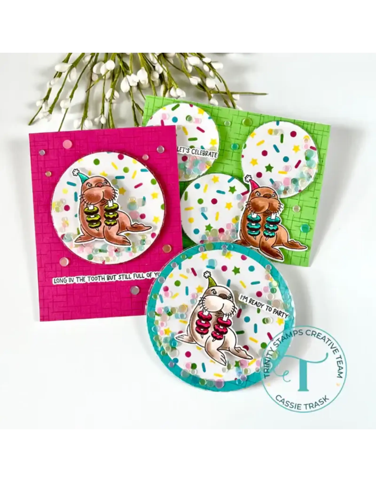 TRINITY STAMPS TRINITY STAMPS CIRCLE ASSORTMENT FLAT ACETATE SHAKER POUCHES