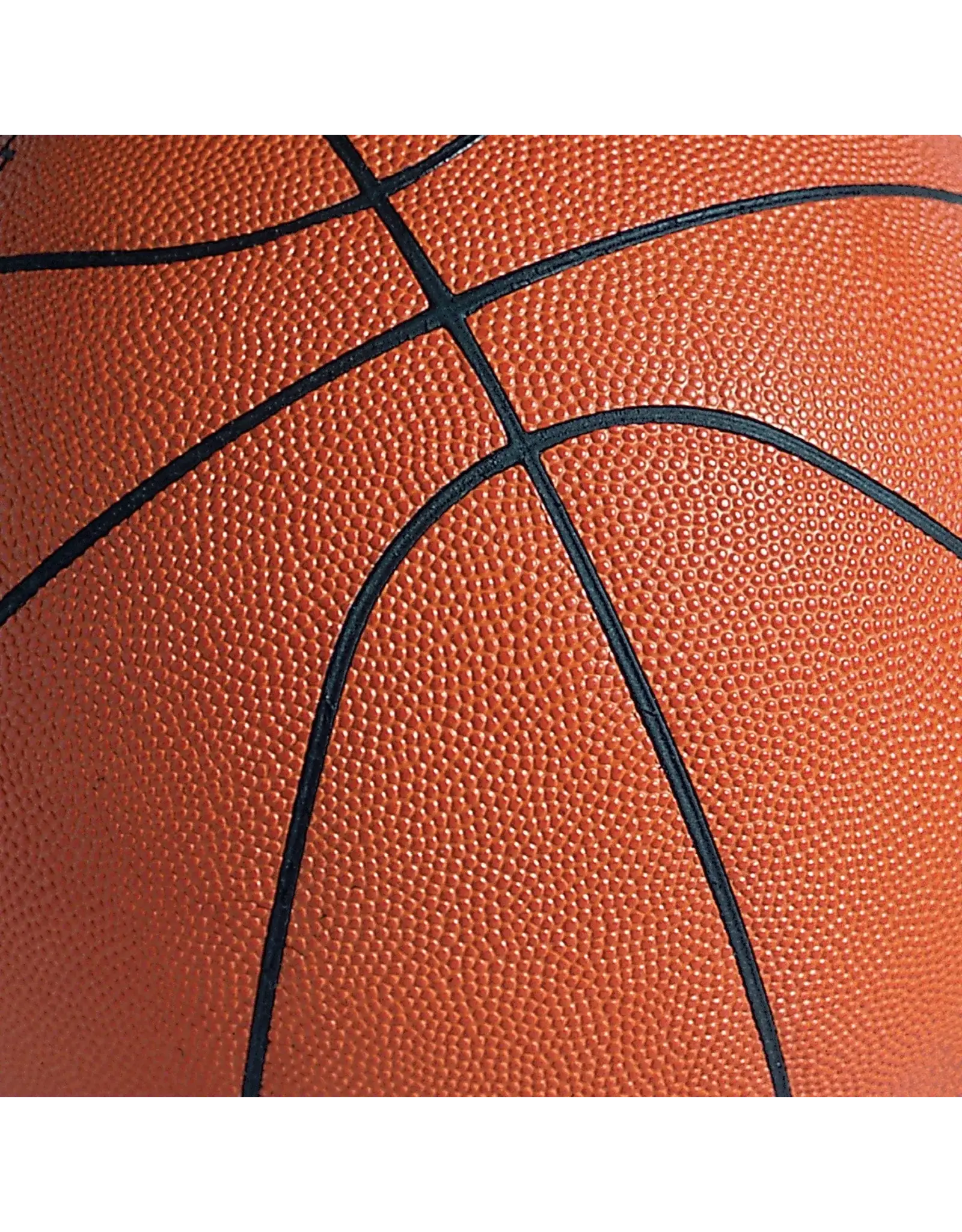 PAPER HOUSE PRODUCTIONS PAPER HOUSE BASKETBALL TAGS 12X12 CARDSTOCK