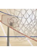 PAPER HOUSE PRODUCTIONS PAPER HOUSE BASKETBALL COURT 12X12 CARDSTOCK