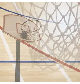 PAPER HOUSE PRODUCTIONS PAPER HOUSE BASKETBALL COURT 12X12 CARDSTOCK