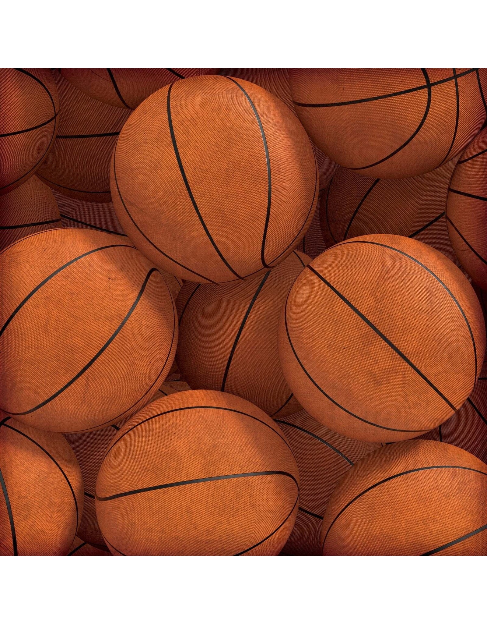 PAPER HOUSE PRODUCTIONS PAPER HOUSE BASKETBALL COURT 12X12 CARDSTOCK