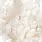 PAPER HOUSE PRODUCTIONS PAPER HOUSE IVORY WATERCOLOR FLORAL 12X12 CARDSTOCK