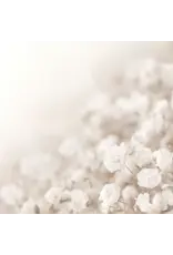 PAPER HOUSE PRODUCTIONS PAPER HOUSE IVORY WATERCOLOR FLORAL 12X12 CARDSTOCK