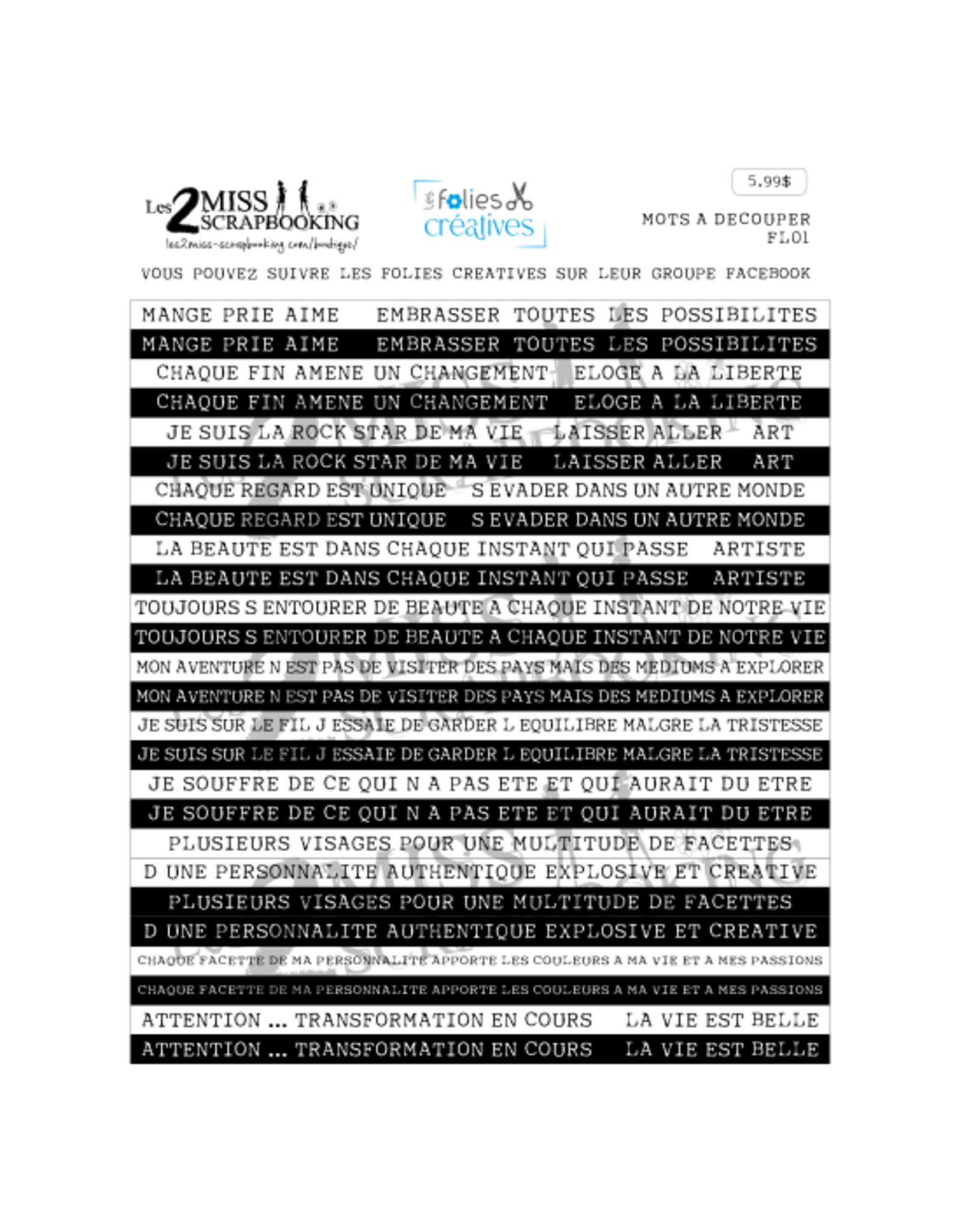 LES 2 MISS SCRAPBOOKING LES 2 MISS SCRAPBOOKING ART JOURNAL FL01 MOTS À DÉCOUPER