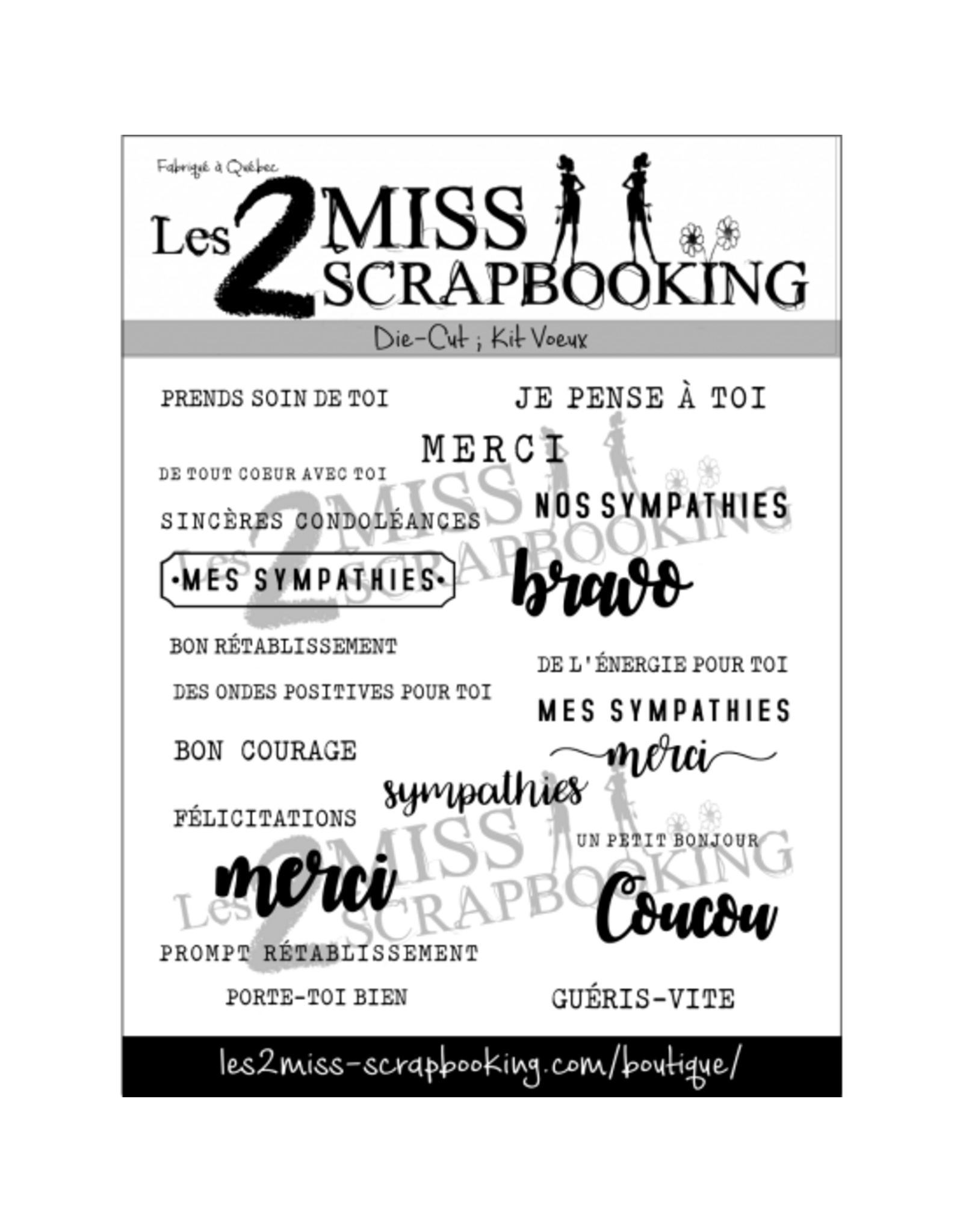 LES 2 MISS SCRAPBOOKING LES 2 MISS SCRAPBOOKING KIT VOEUX (BLANC SUR NOIR) DIE-CUTS