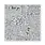 HERO ARTS HERO ARTS ODE TO ANDY WARHOL SCRIPT BOLD PRINTS 6x6 CLING STAMP