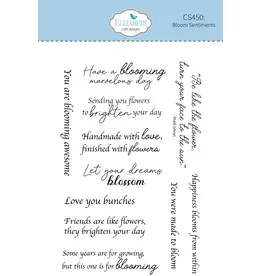 ELIZABETH CRAFT DESIGNS ELIZABETH CRAFT DESIGNS PAPER FLOWERS BLOOM SENTIMENTS CLEAR STAMP SET