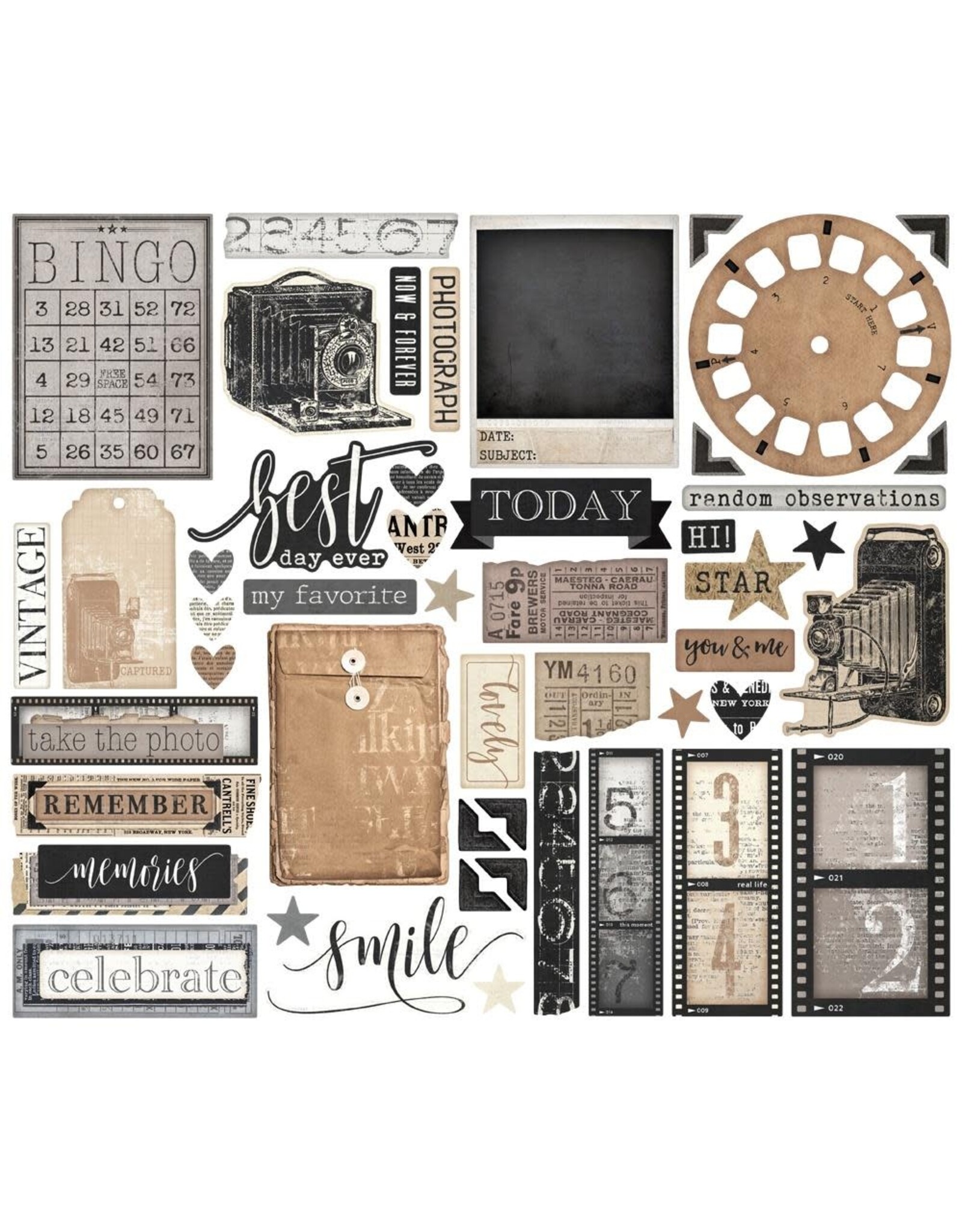 SIMPLE STORIES SIMPLE STORIES SIMPLE VINTAGE ESSENTIALS CAPTURED BITS 49/PK