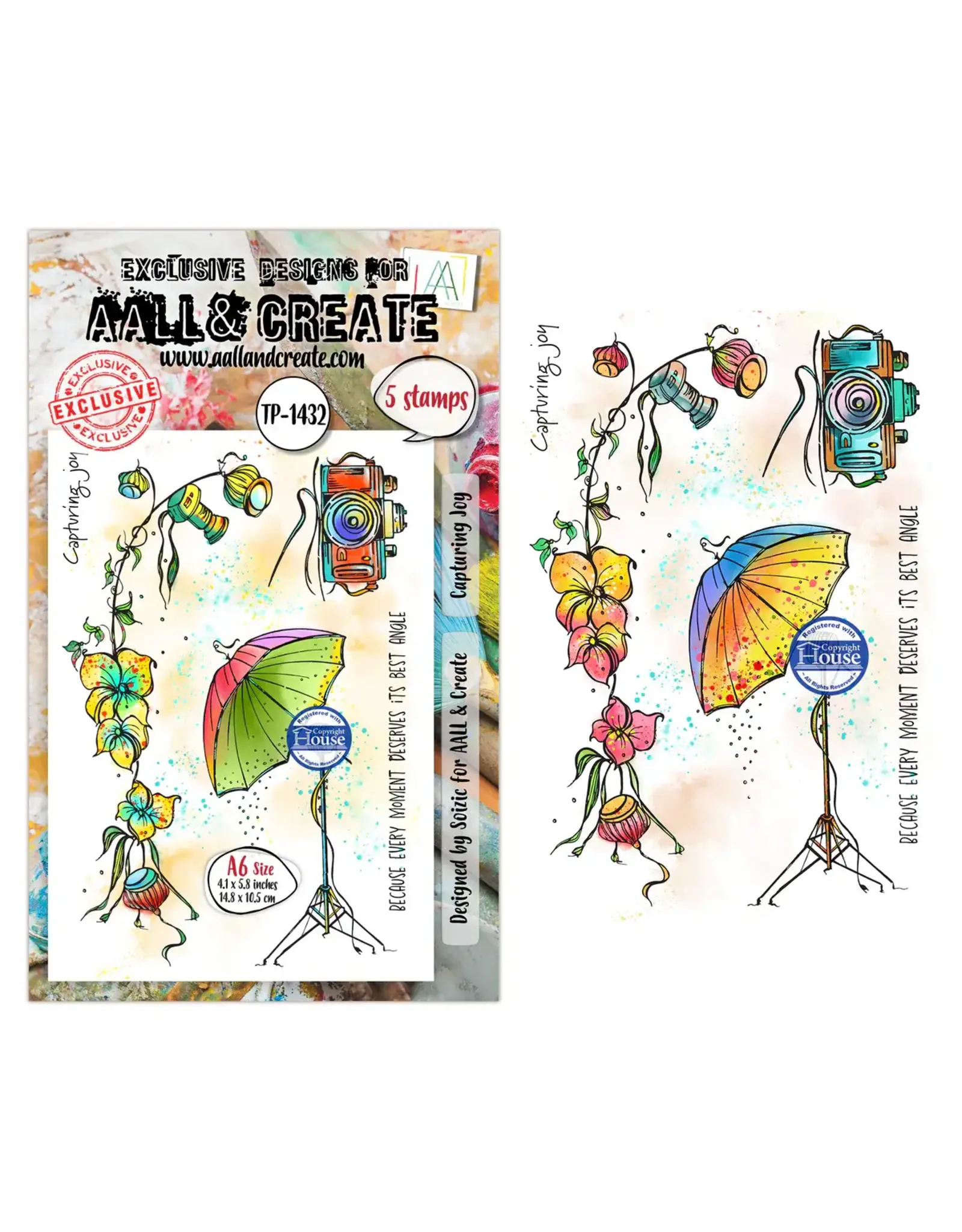 AALL & CREATE AALL & CREATE SOIZIC #1432 CAPTURING JOY A6 CLEAR STAMP SET