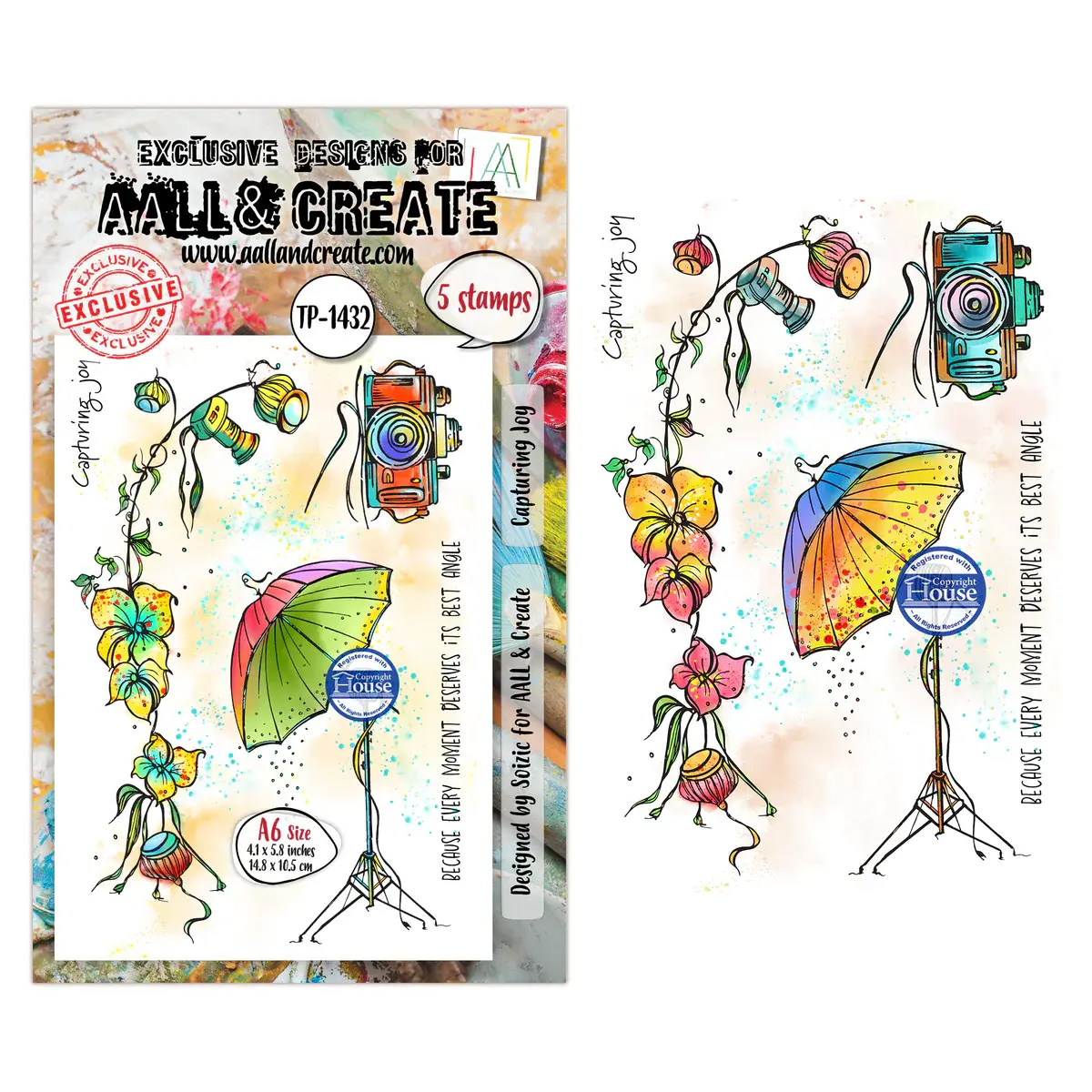 AALL & CREATE AALL & CREATE SOIZIC #1432 CAPTURING JOY A6 CLEAR STAMP SET