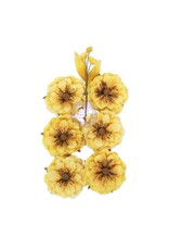 PRIMA PRIMA AMONG THE WILDFLOWERS HONEY BLOOM PAPER FLOWERS 7/PK