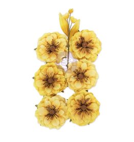 PRIMA PRIMA AMONG THE WILDFLOWERS HONEY BLOOM PAPER FLOWERS 7/PK