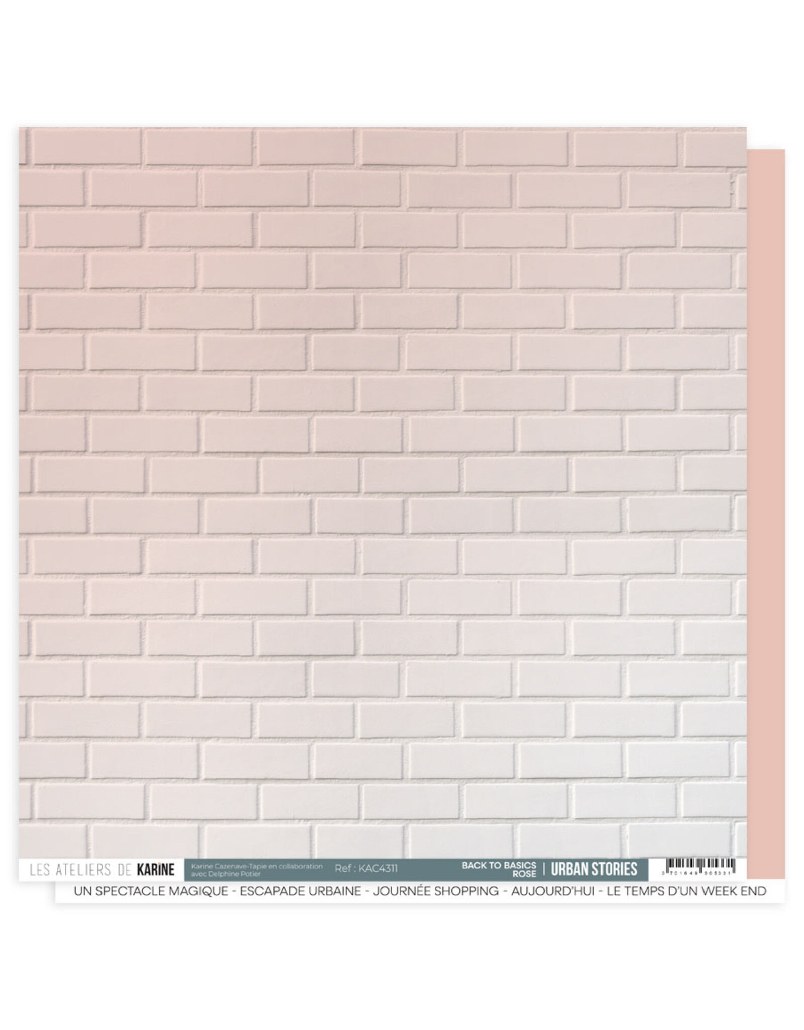 LES ATELIERS DE KARINE LES ATELIERS DE KARINE URBAN STORIES BACK TO BASICS ROSE 12x12 CARDSTOCK