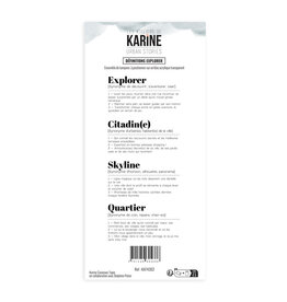 LES ATELIERS DE KARINE LES ATELIERS DE KARINE URBAN STORIES DÉFINITIONS EXPLORER CLEAR STAMP SET