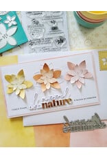 LES ATELIERS DE KARINE LES ATELIERS DE KARINE TERRE & JASMIN TEXTES LIBERTÉ CLEAR STAMP SET