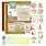 FIND IT TRADING FIND IT HOBBYDOTS STITCH & DO ON COLOUR PRECIOUS MARIEKE BEAUTIFUL BUTTERFLIES