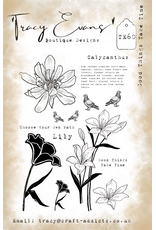 TRACY EVANS TRACY EVANS BOUTIQUE DESIGNS TE60 GOOD THINGS TAKE TIME A5 CLEAR STAMP SET