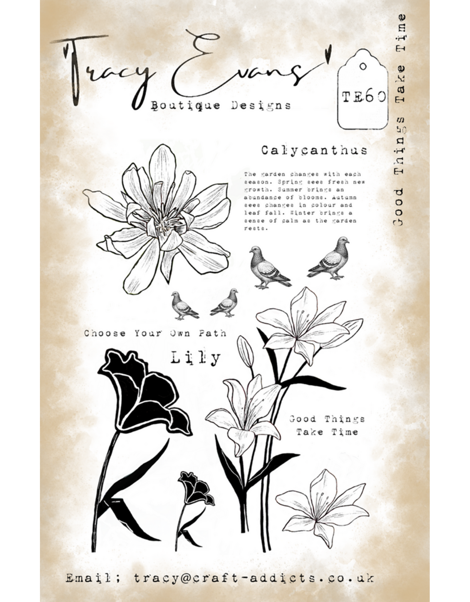 TRACY EVANS TRACY EVANS BOUTIQUE DESIGNS TE60 GOOD THINGS TAKE TIME A5 CLEAR STAMP SET