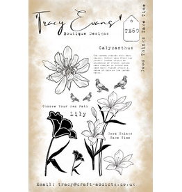 TRACY EVANS TRACY EVANS BOUTIQUE DESIGNS TE60 GOOD THINGS TAKE TIME A5 CLEAR STAMP SET