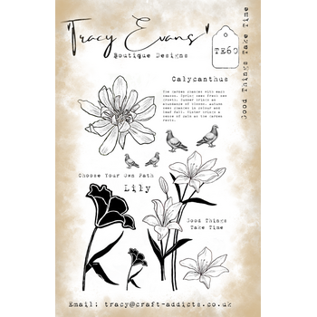 TRACY EVANS TRACY EVANS BOUTIQUE DESIGNS TE60 GOOD THINGS TAKE TIME A5 CLEAR STAMP SET