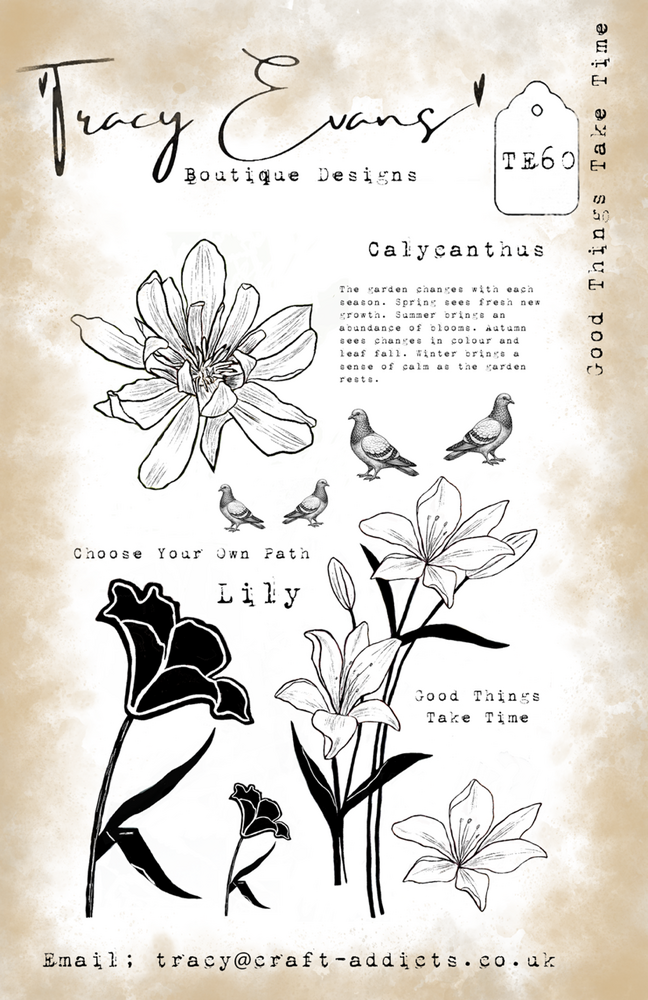 TRACY EVANS TRACY EVANS BOUTIQUE DESIGNS TE60 GOOD THINGS TAKE TIME A5 CLEAR STAMP SET