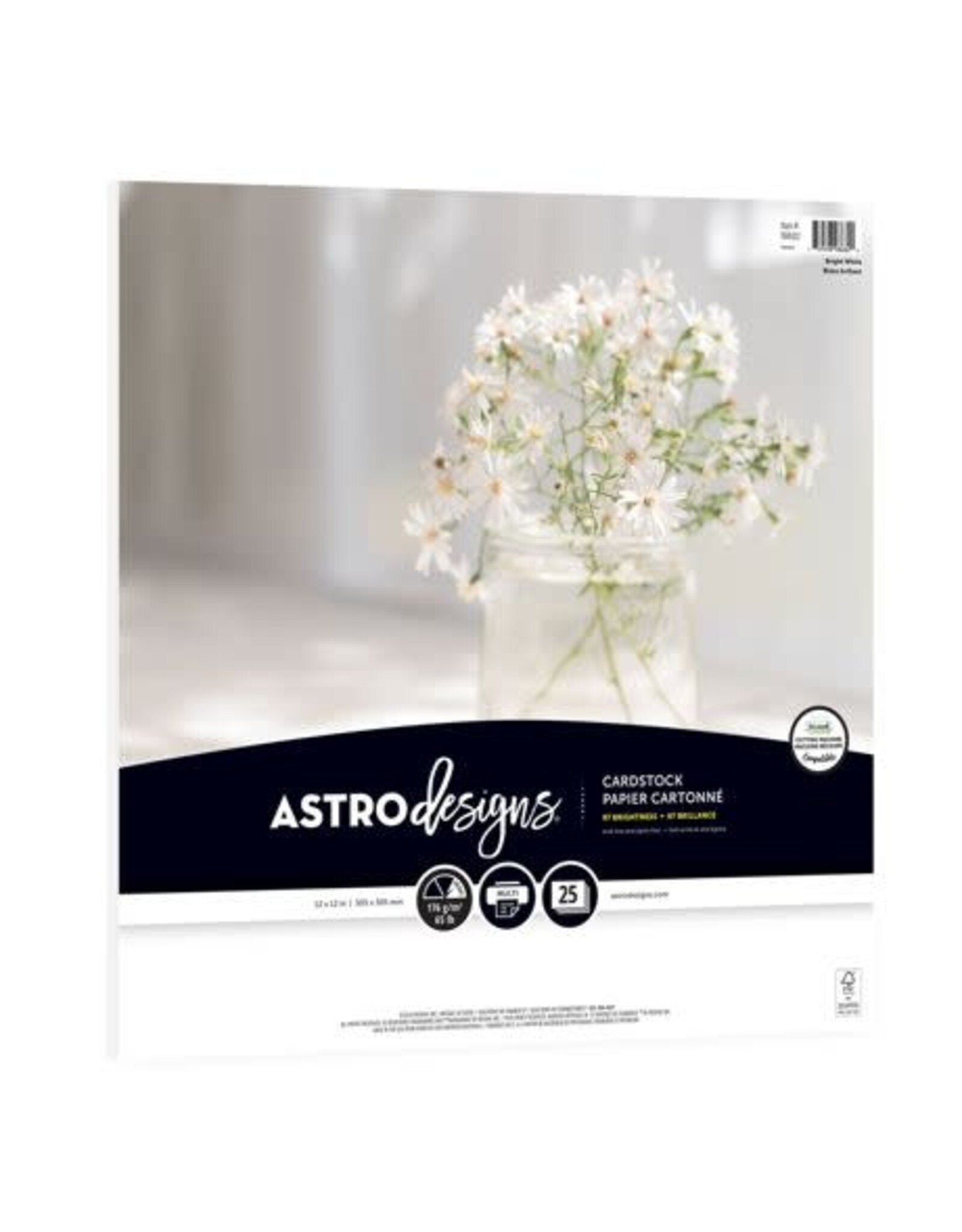 NEENAH NEENAH BRIGHT WHITE 12x12 CARDSTOCK 25/PACK