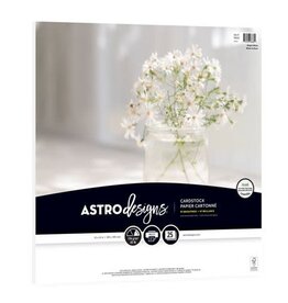 NEENAH NEENAH BRIGHT WHITE 12x12 CARDSTOCK 25/PACK