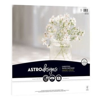 NEENAH NEENAH BRIGHT WHITE 12x12 CARDSTOCK 25/PACK