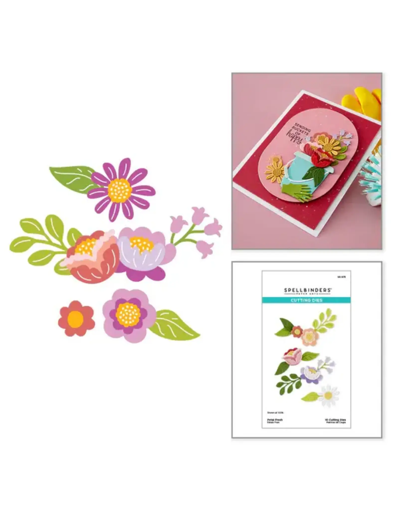 SPELLBINDERS SPELLBINDERS PETAL FRESH ETCHED DIE SET