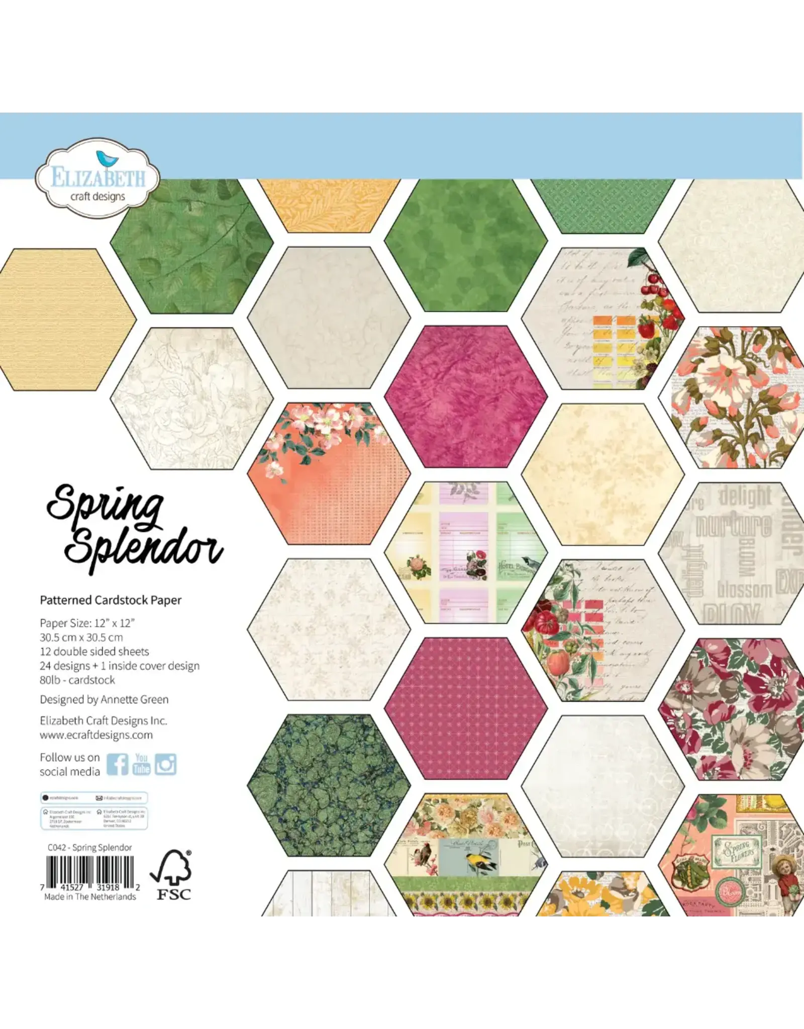 ELIZABETH CRAFT DESIGNS ELIZABETH CRAFT DESIGNS EVERYDAY MEMORIES SPRING SPLENDOR 12x12 PATTERENED PAPER PACK