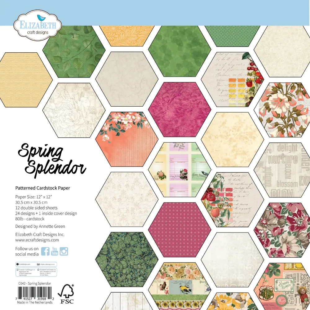 ELIZABETH CRAFT DESIGNS ELIZABETH CRAFT DESIGNS EVERYDAY MEMORIES SPRING SPLENDOR 12x12 PATTERENED PAPER PACK