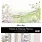 PAPER ROSE PAPER ROSE PETALS & PANSIES 12x12 BASICS PAPER COLLECTION