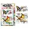 AALL & CREATE AALL & CREATE AUTOUR DE MWA #1447 SONG FROM TORINO A7 CLEAR STAMP SET