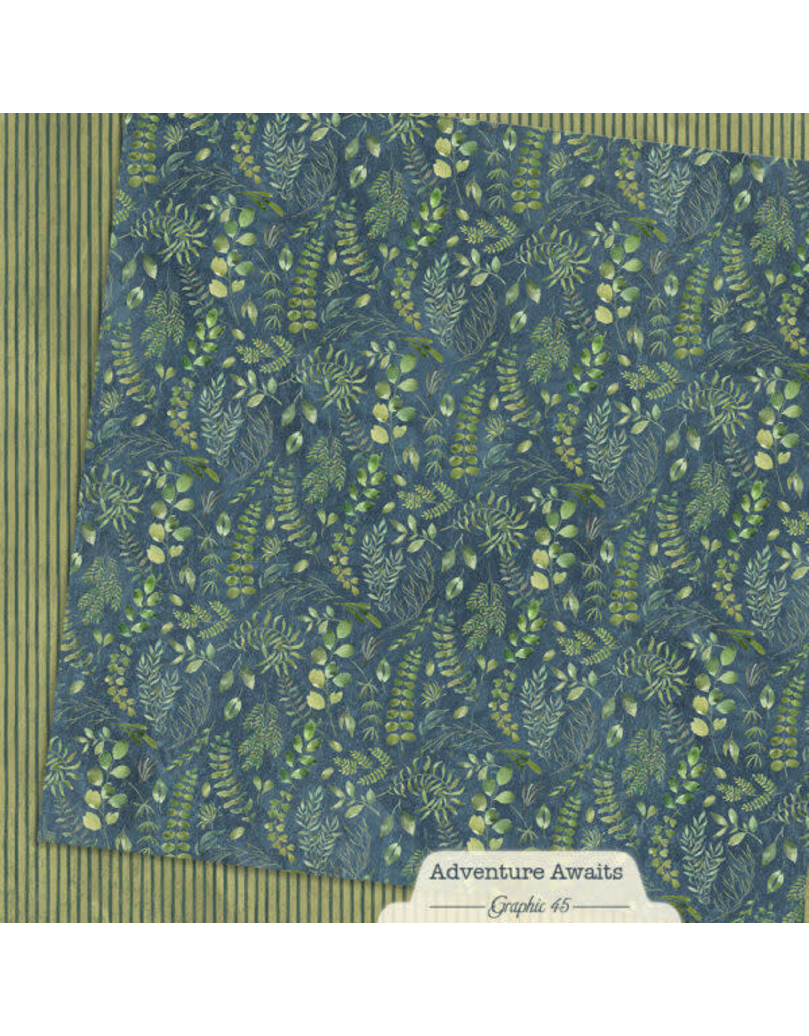 GRAPHIC 45 GRAPHIC 45 ADVENTURE AWAITS FLORAL FERN 12x12 CARDSTOCK