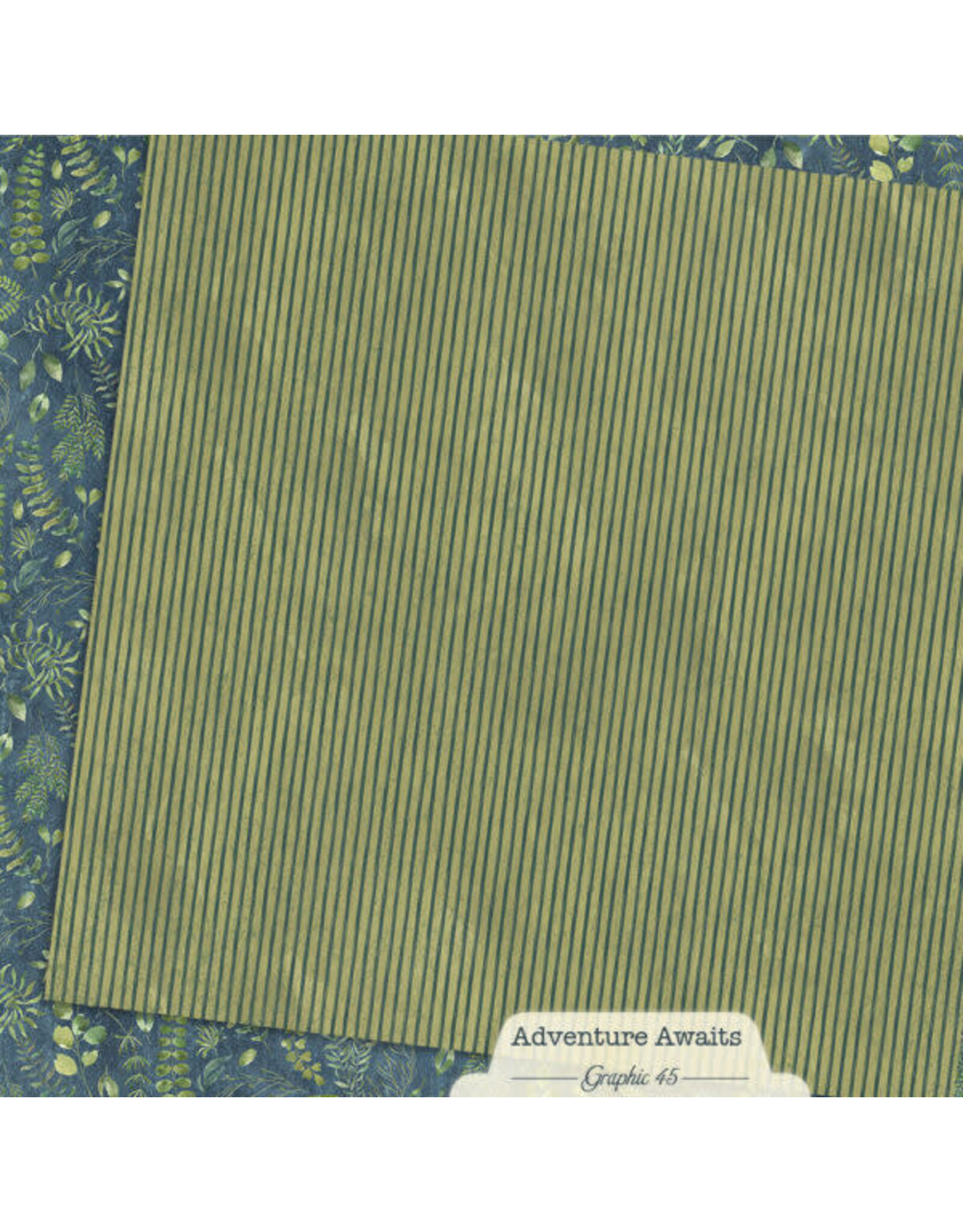 GRAPHIC 45 GRAPHIC 45 ADVENTURE AWAITS FLORAL FERN 12x12 CARDSTOCK