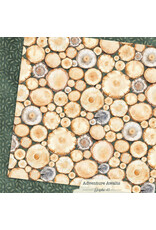 GRAPHIC 45 GRAPHIC 45 ADVENTURE AWAITS TREE RINGS 12x12 CARDSTOCK