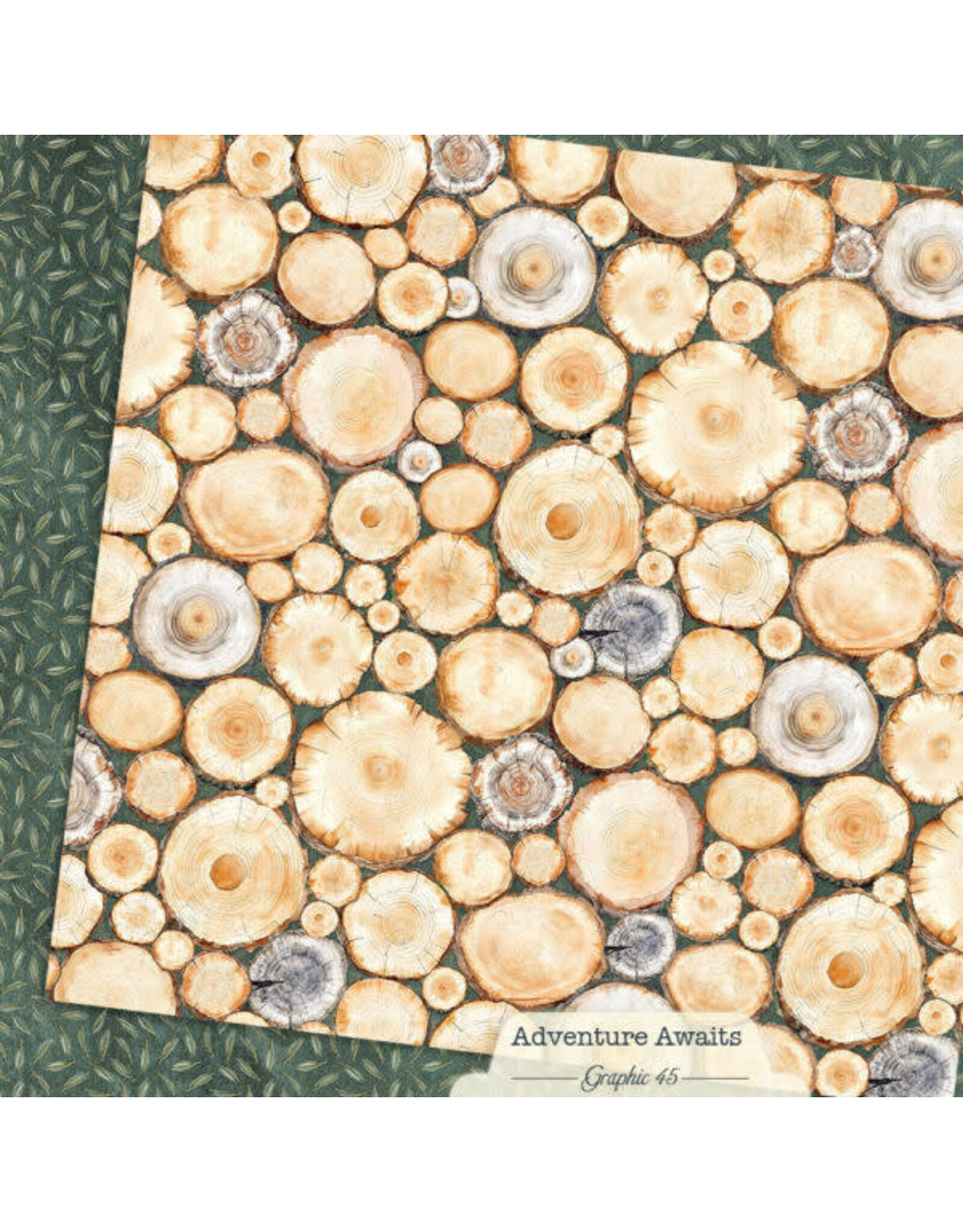GRAPHIC 45 GRAPHIC 45 ADVENTURE AWAITS TREE RINGS 12x12 CARDSTOCK