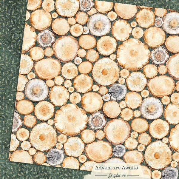 GRAPHIC 45 GRAPHIC 45 ADVENTURE AWAITS TREE RINGS 12x12 CARDSTOCK