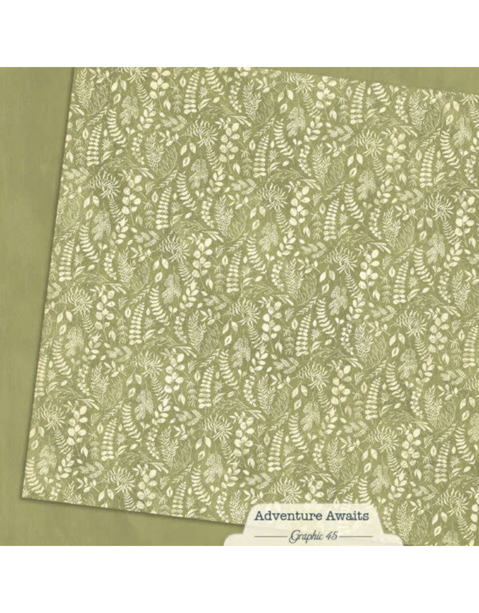 GRAPHIC 45 GRAPHIC 45 ADVENTURE AWAITS FERN GREEN PATTERN & SOLID SHEET 12x12 CARDSTOCK