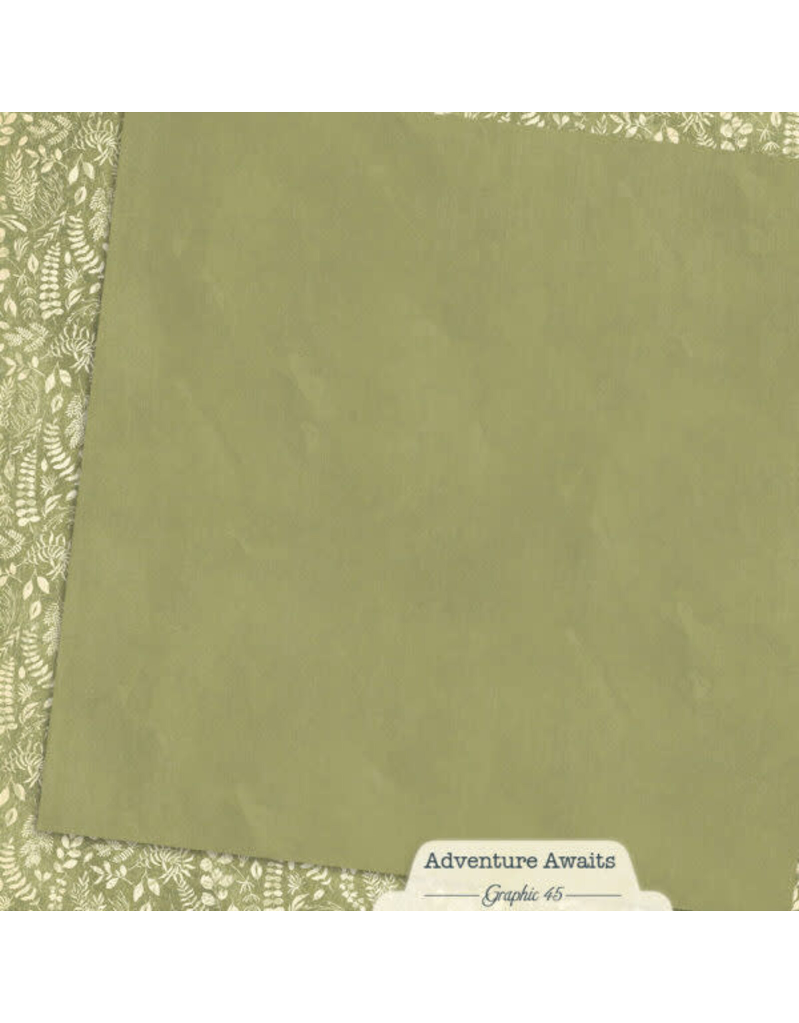 GRAPHIC 45 GRAPHIC 45 ADVENTURE AWAITS FERN GREEN PATTERN & SOLID SHEET 12x12 CARDSTOCK