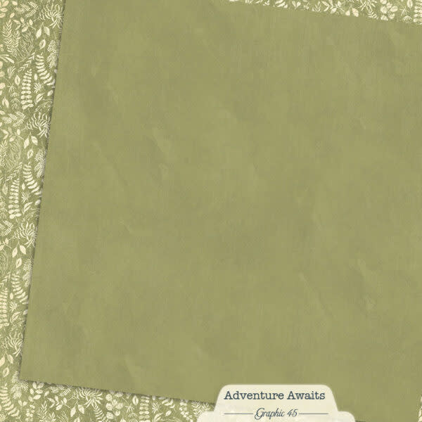 GRAPHIC 45 GRAPHIC 45 ADVENTURE AWAITS FERN GREEN PATTERN & SOLID SHEET 12x12 CARDSTOCK