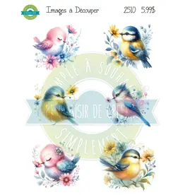 SIMPLE A SOUHAITS SIMPLE À SOUHAIT OISEAUX PASTELS IMAGES À DÉCOUPER