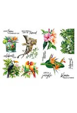 SPELLBINDERS SPELLBINDERS LIFE'S A JUNGLE RUB-ON TRANSFERS