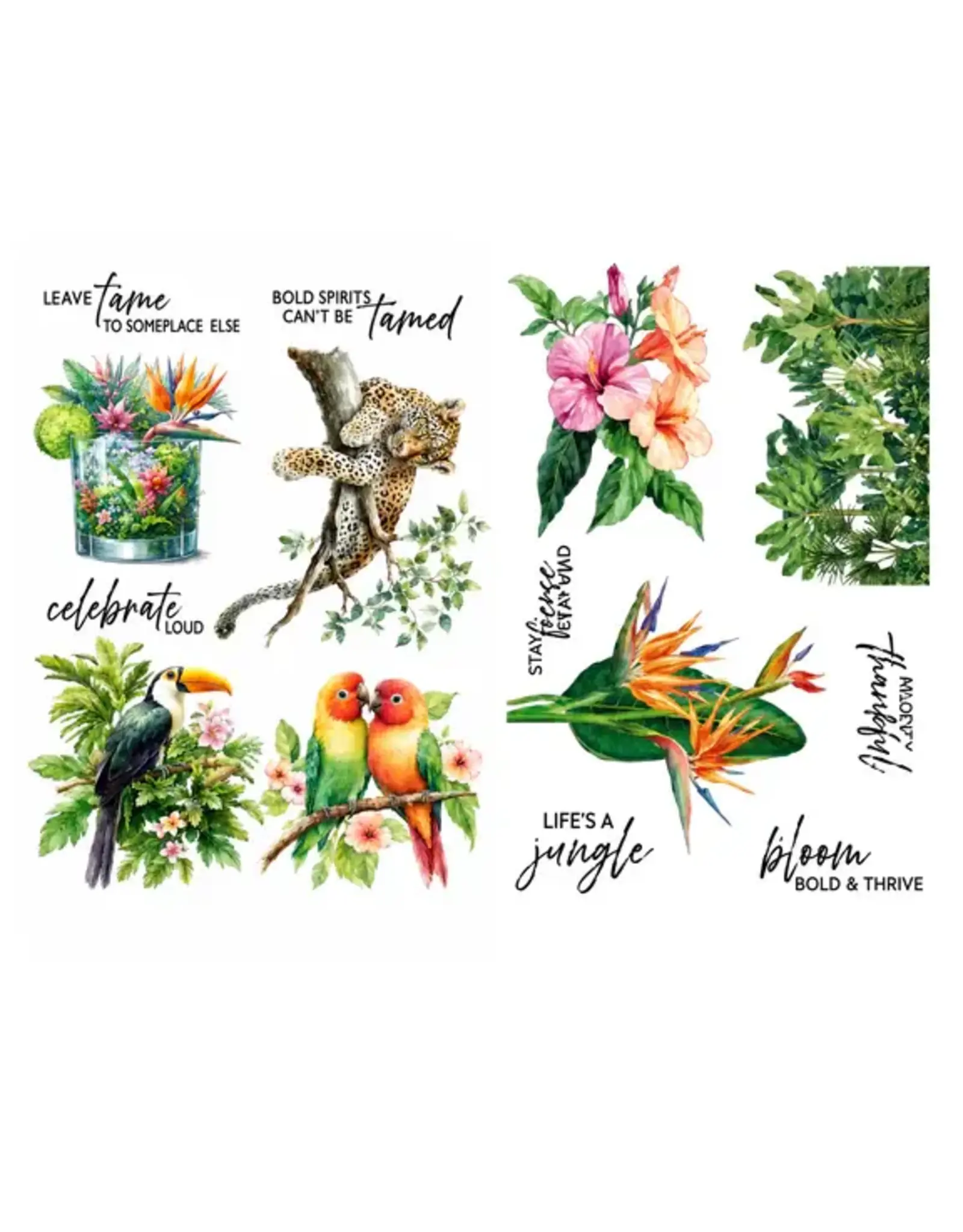 SPELLBINDERS SPELLBINDERS LIFE'S A JUNGLE RUB-ON TRANSFERS