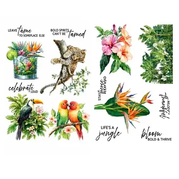 SPELLBINDERS SPELLBINDERS LIFE'S A JUNGLE RUB-ON TRANSFERS