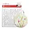 ALTENEW ALTENEW UNDERSEA JAMBOREE STENCIL SET 3/PK