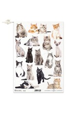 ITD COLLECTION ITD COLLECTION R2146 A4 RICE PAPER