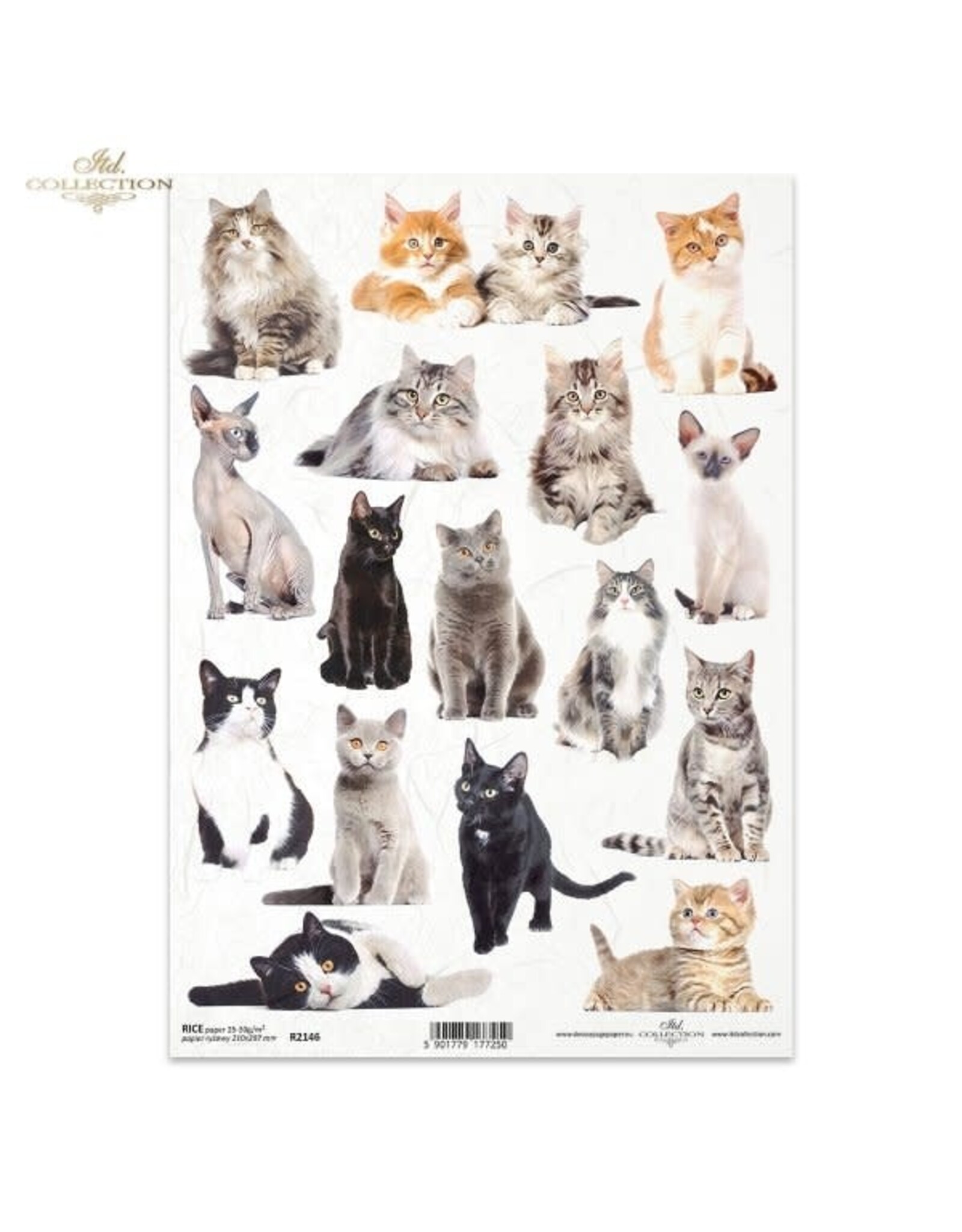 ITD COLLECTION ITD COLLECTION R2146 A4 RICE PAPER