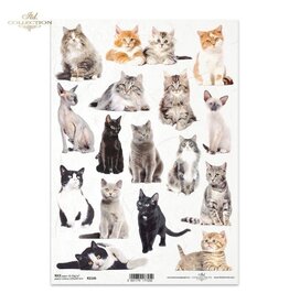 ITD COLLECTION ITD COLLECTION R2146 A4 RICE PAPER