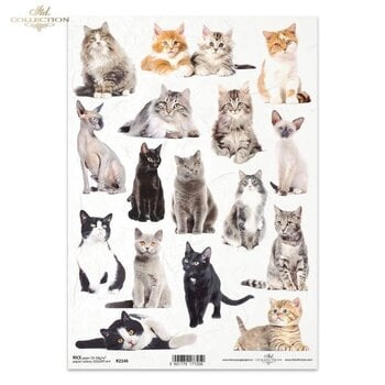 ITD COLLECTION ITD COLLECTION R2146 A4 RICE PAPER